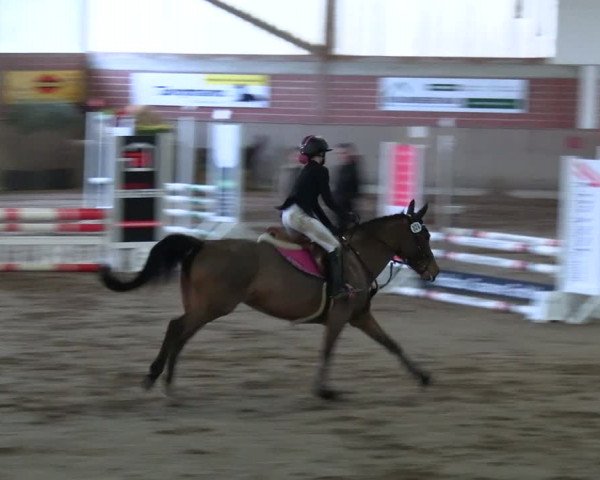 Reitturnier Lembeck 2024