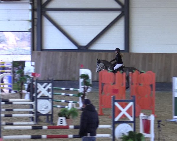 Reitturnier Zwickau 2024