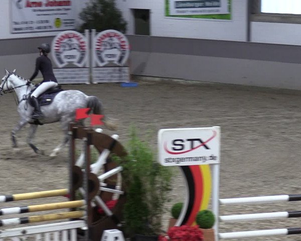 Reitturnier Luhmühlen 2024