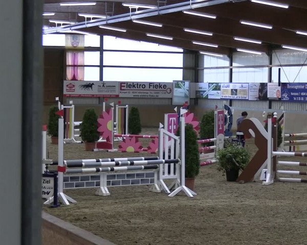 Reitturnier Altenberge 2024
