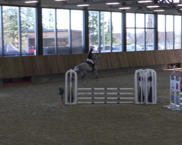 Reitturnier Zwickau 2024