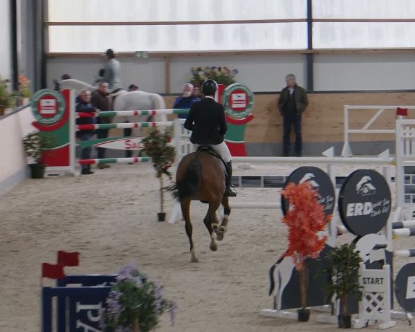 Reitturnier Borken 2024