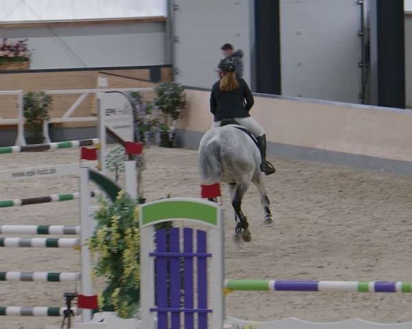 Reitturnier Borken 2024