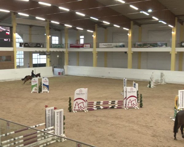 Reitturnier Stadl-Paura 2024