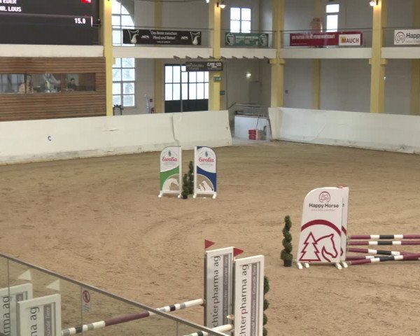 Reitturnier Stadl-Paura 2024