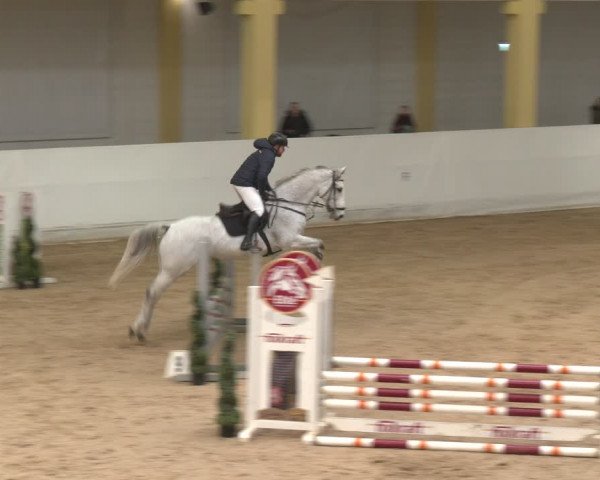 Reitturnier Stadl-Paura 2024