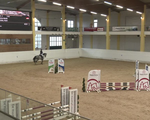 Reitturnier Stadl-Paura 2024