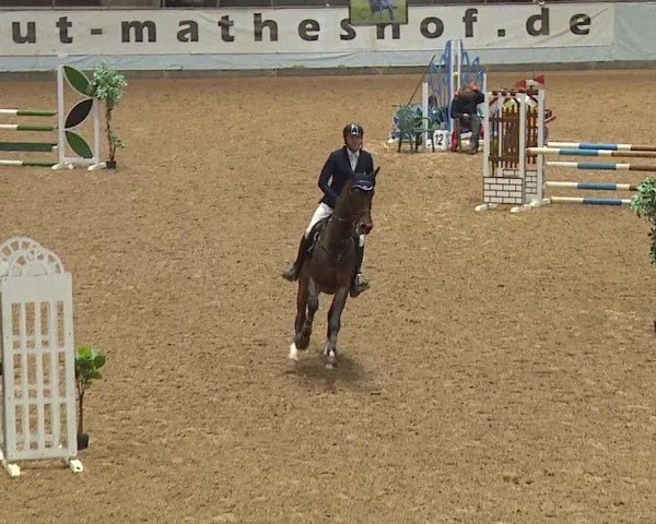 Reitturnier Kreuth/Opf. 2024