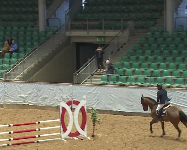 Reitturnier Kreuth/Opf. 2024