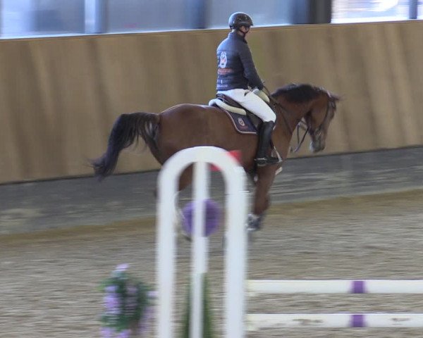 Reitturnier Zwickau 2024