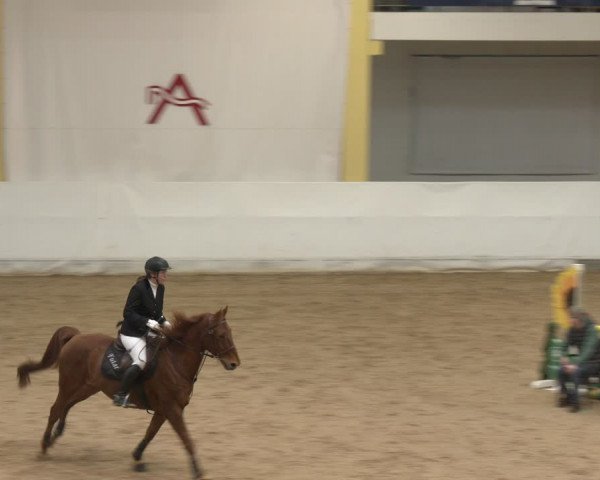 Reitturnier Stadl-Paura 2024