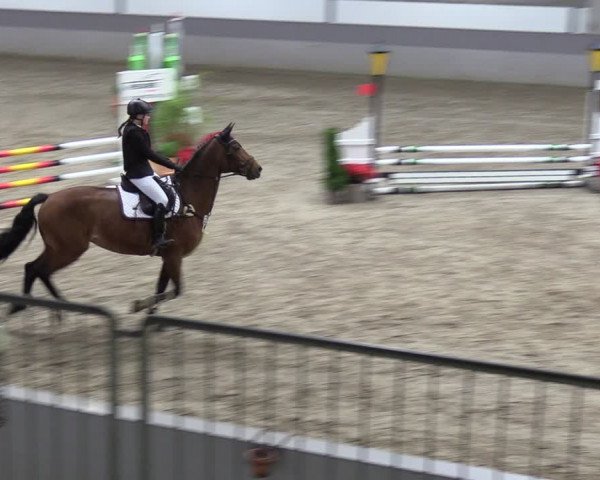 Reitturnier Luhmühlen 2024
