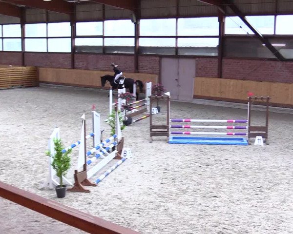 Reitturnier Hamburg-Friedrichshulde/Sylva Kuhrt 2024
