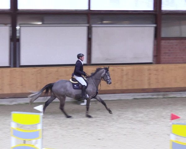 Reitturnier Hamburg-Friedrichshulde/Sylva Kuhrt 2024