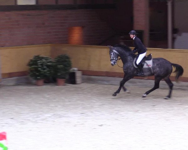 Reitturnier Hamburg-Friedrichshulde/Sylva Kuhrt 2024