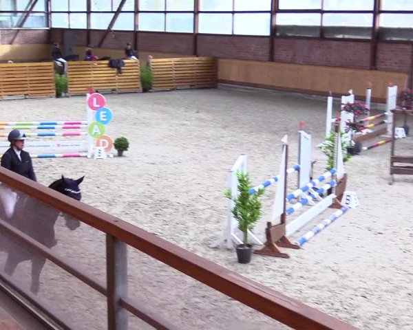 Reitturnier Hamburg-Friedrichshulde/Sylva Kuhrt 2024