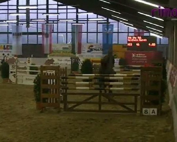 Borken 2011
