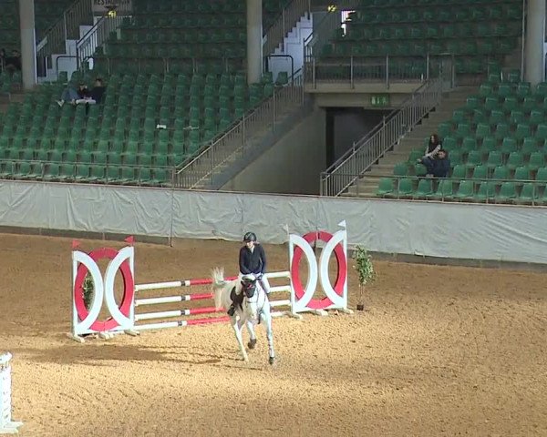 Reitturnier Kreuth/Opf. 2024