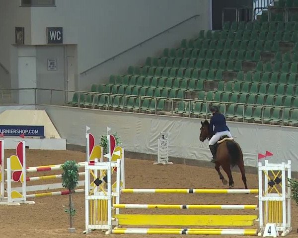 Reitturnier Kreuth/Opf. 2024