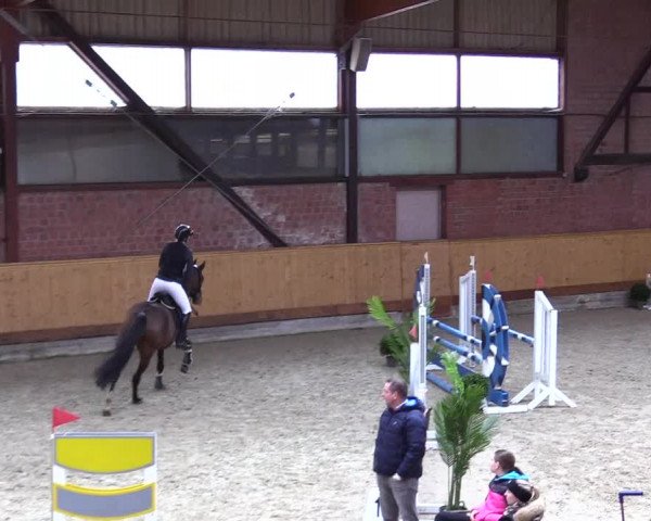 Reitturnier Hamburg-Friedrichshulde/Sylva Kuhrt 2024
