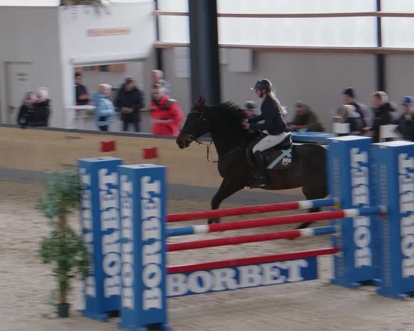 Reitturnier Borken 2024