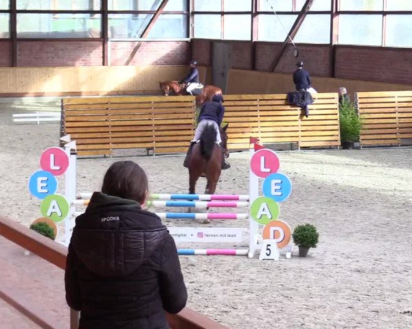 Reitturnier Hamburg-Friedrichshulde/Sylva Kuhrt 2024
