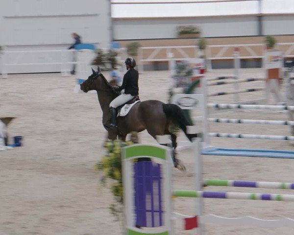 Reitturnier Borken 2024