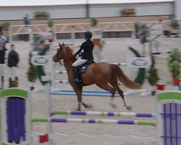Reitturnier Borken 2024
