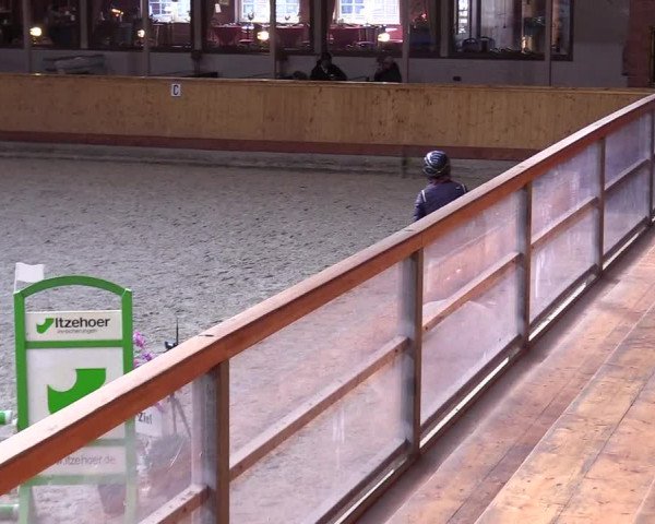 Reitturnier Hamburg-Friedrichshulde/Sylva Kuhrt 2024