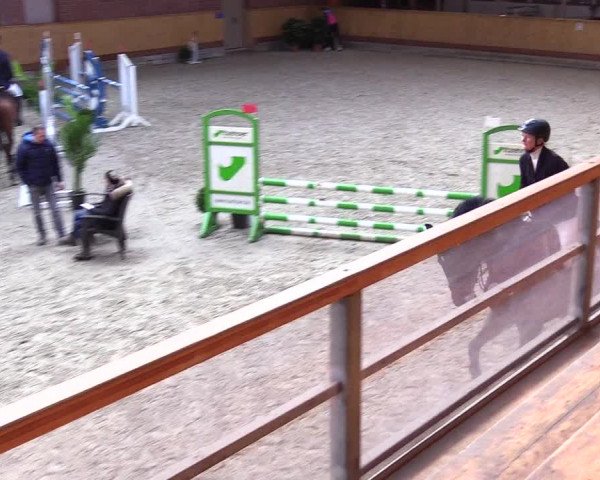 Reitturnier Hamburg-Friedrichshulde/Sylva Kuhrt 2024