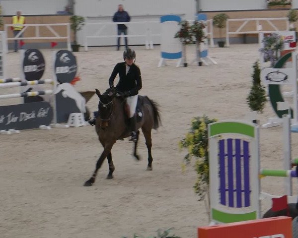Reitturnier Borken 2024