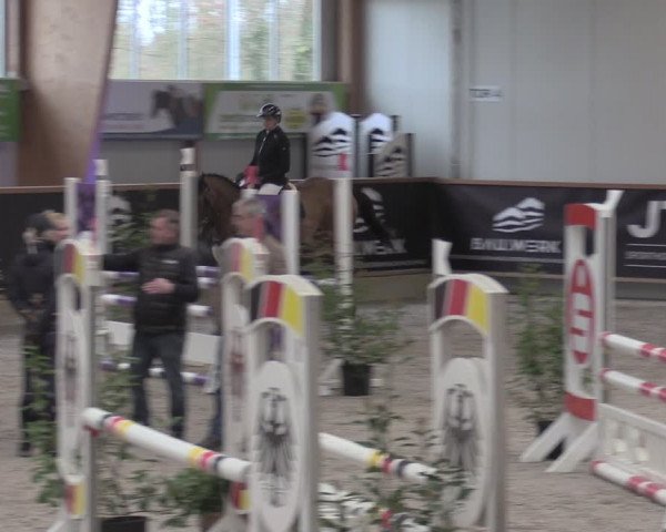 Reitturnier Goch-Asperden 2024