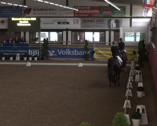 Reitturnier Vlotho-Exter 2024
