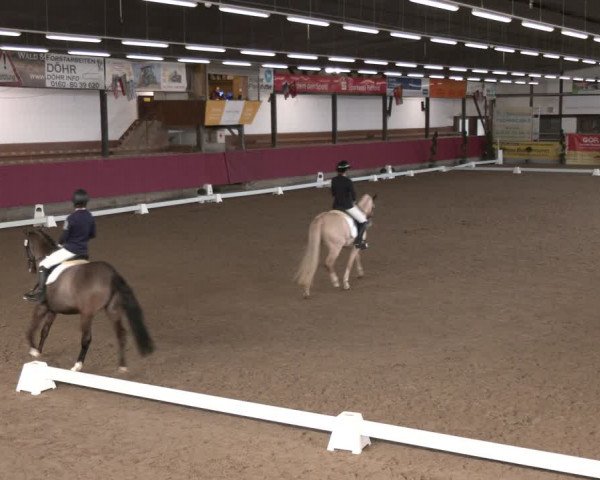 Reitturnier Vlotho-Exter 2024