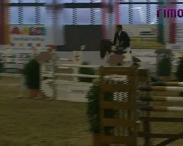 Borken 2011