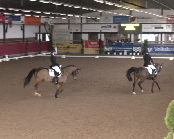 Reitturnier Vlotho-Exter 2024