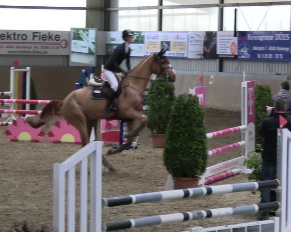 Reitturnier Altenberge 2024