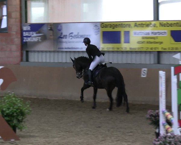 Reitturnier Altenberge 2024