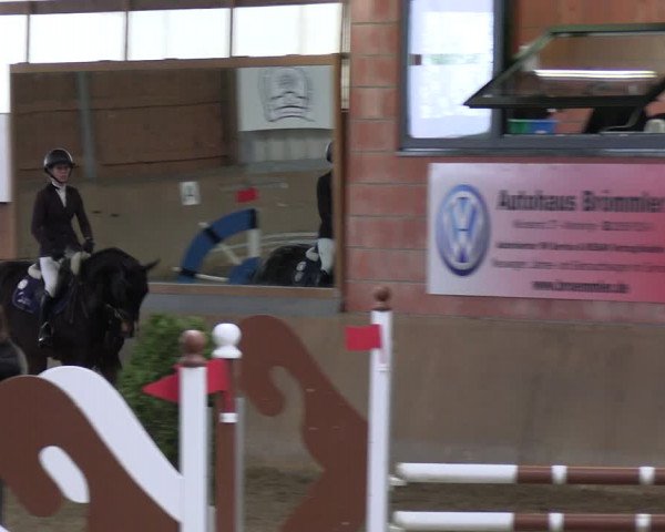 Reitturnier Altenberge 2024