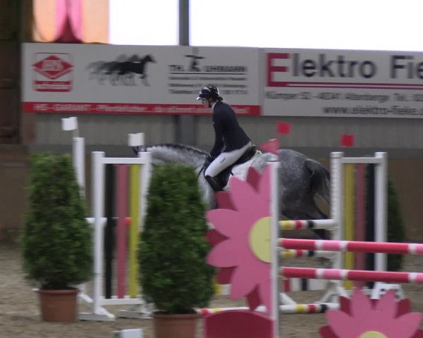 Reitturnier Altenberge 2024