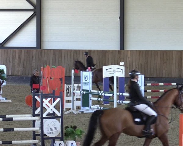 Reitturnier Zwickau 2024