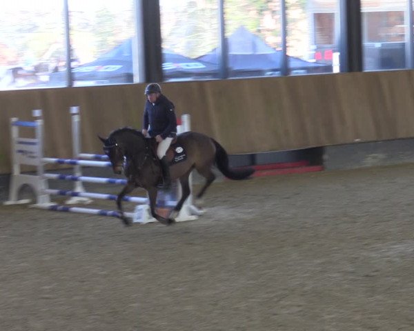 Reitturnier Zwickau 2024