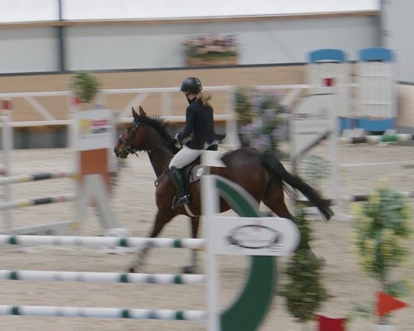 Reitturnier Borken 2024