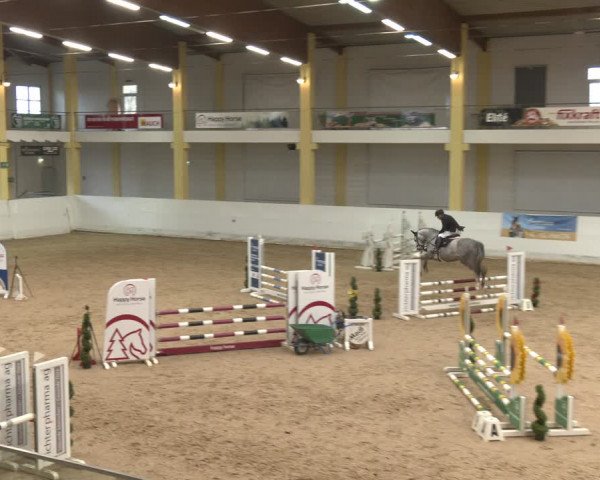 Reitturnier Stadl-Paura 2024