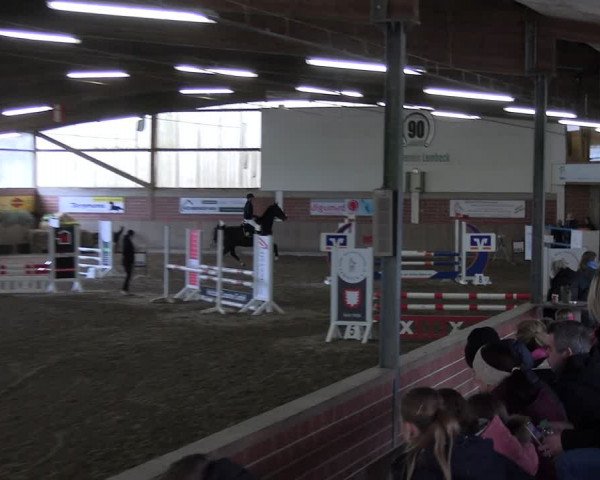 Reitturnier Lembeck 2024