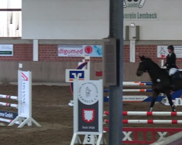 Reitturnier Lembeck 2024