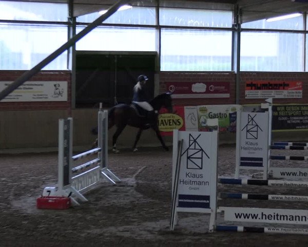 Reitturnier Lembeck 2024