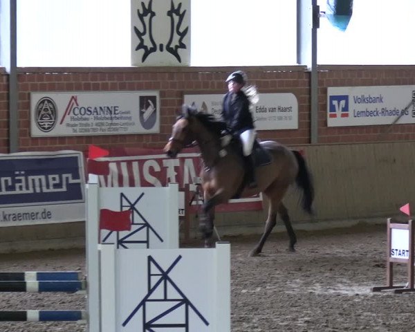 Reitturnier Lembeck 2024