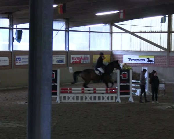 Reitturnier Lembeck 2024