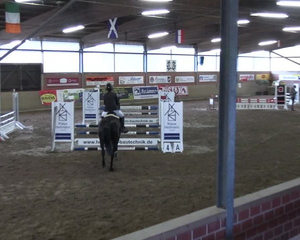 Reitturnier Lembeck 2024